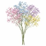 Гипсофила радужная