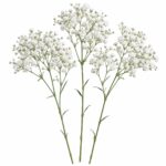 Гипсофила белая